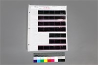 藏品(135黑白負片A-9-36)的圖片